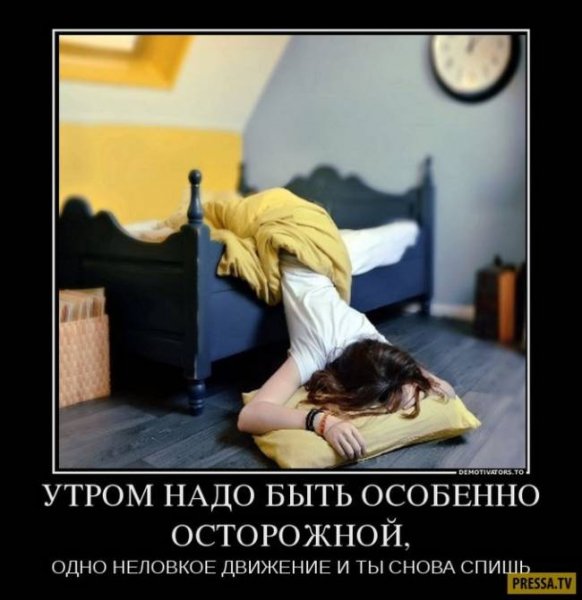 Утро прикол