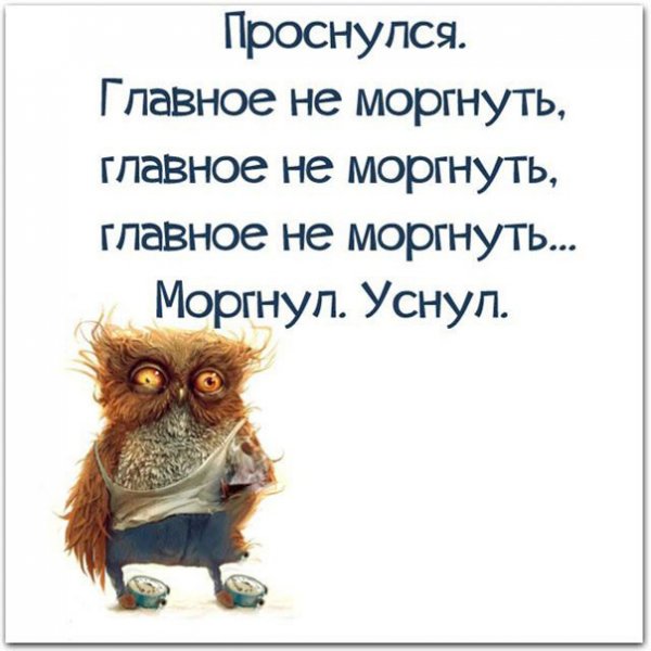 Утренние афоризмы с юмором