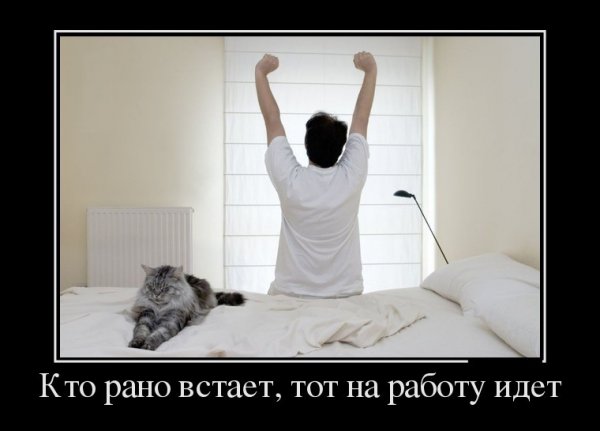 Кто рано встаёт картинки прикольные