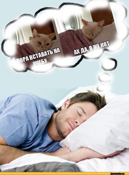 Пора вставать