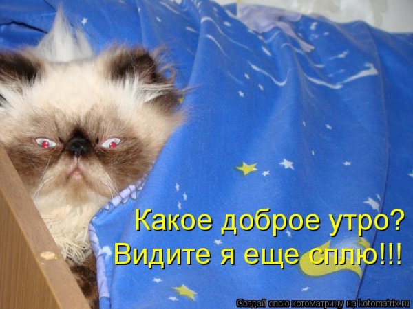 Доброе утро еще сплю