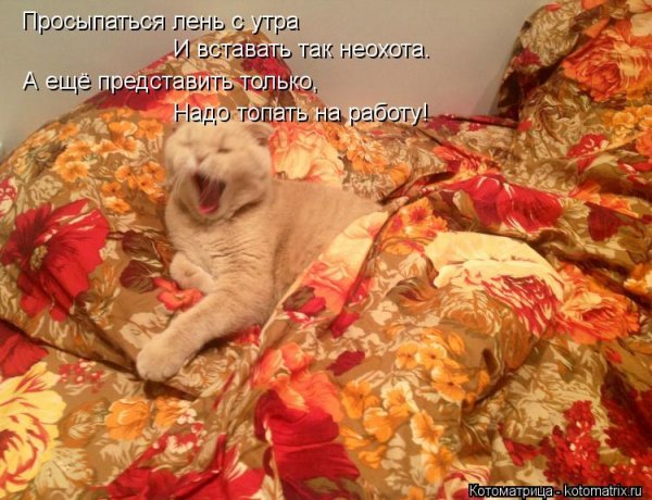 Лень вставать утром