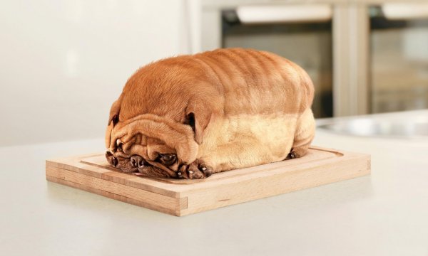 Креативная реклама хлеба