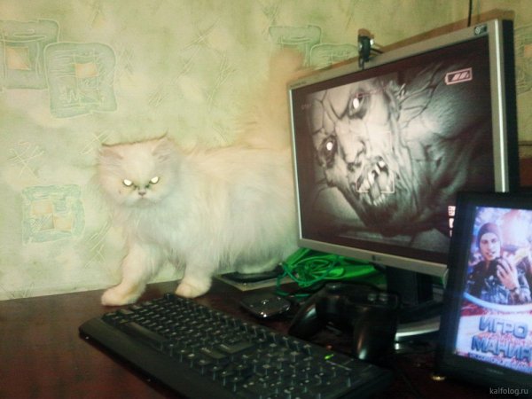 Приколы из компьютерных игр