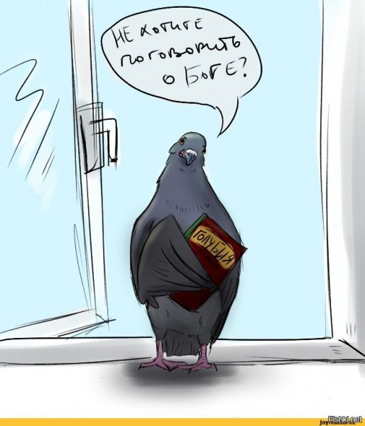 Шутки про голубей