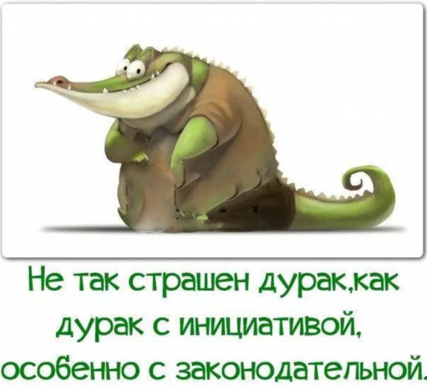 Смешные цитаты про дураков