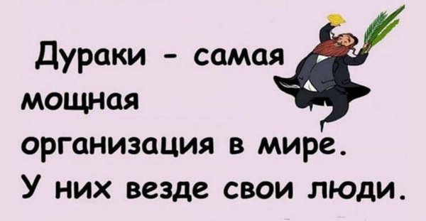 Дурак юмор