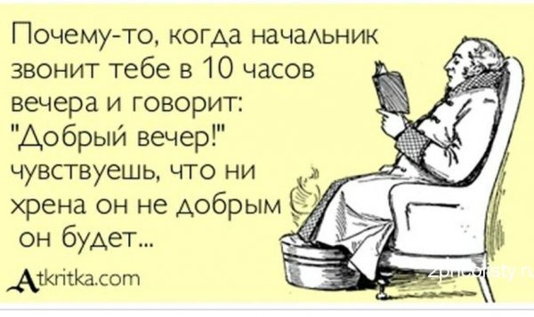 Спорить с дураком цитаты