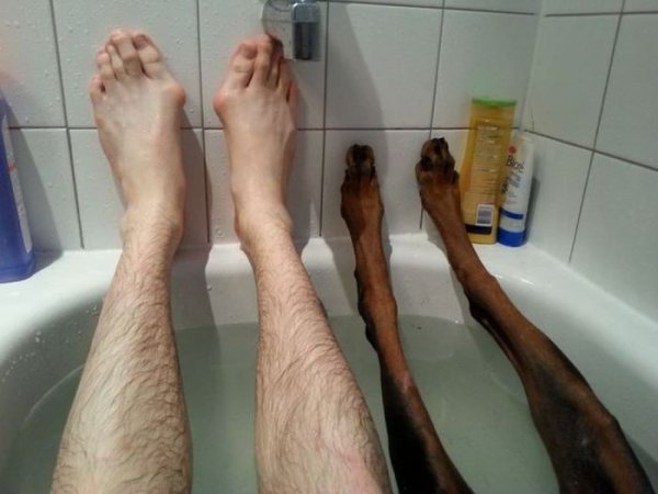 Прикольные носки на ногах