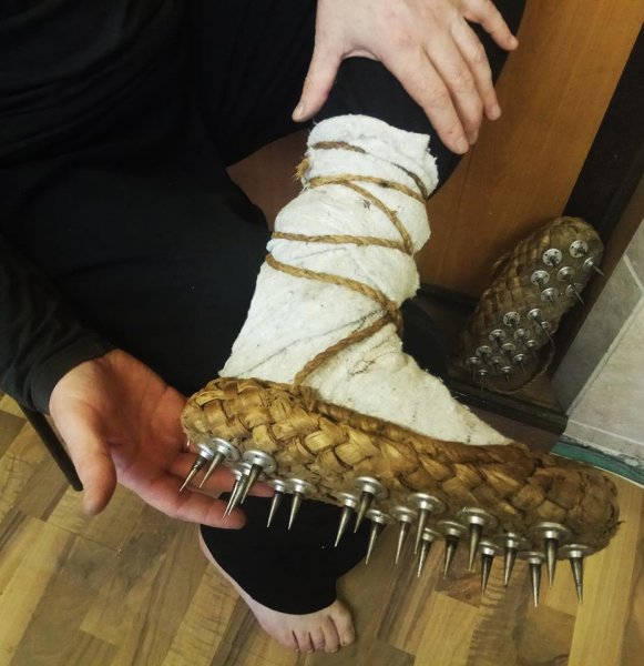 Волосатый дог