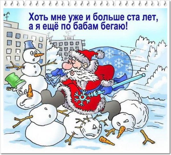 Новогодние анекдоты в картинках