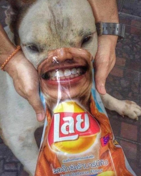 Смешные картинки