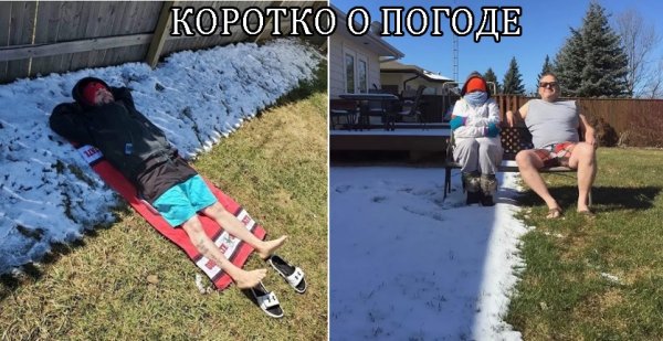 Смешные видео