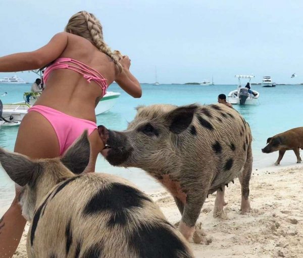 Забавные девушки на пляже