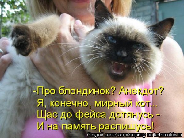 Прикольные фото анекдоты