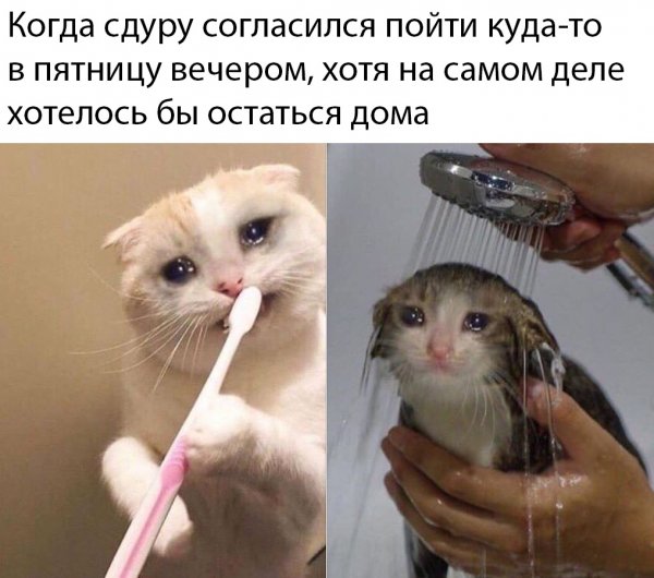 Крутые статусы