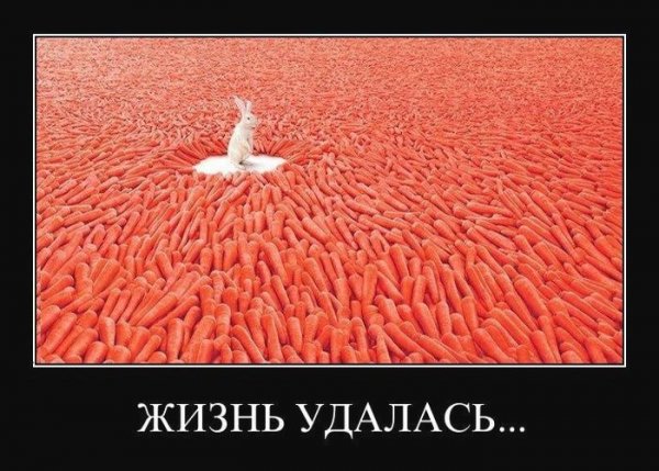 Демотиваторы про желания