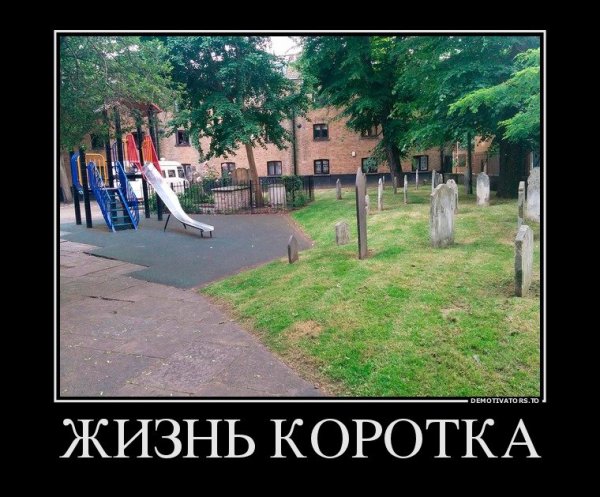 Жизненные приколы