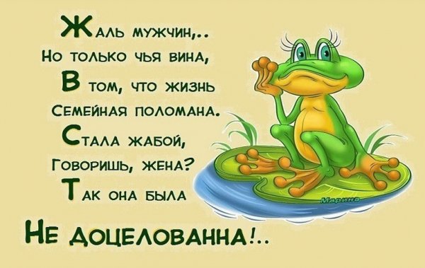 Смешные высказывания о семейной жизни