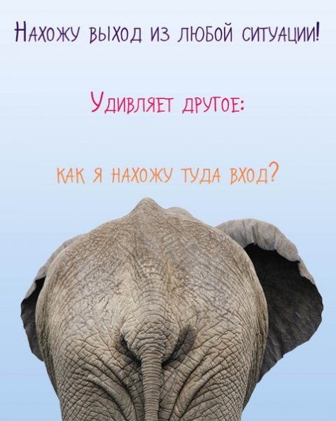 Прикольные открытки про жизнь