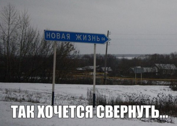 Новая жизнь прикол