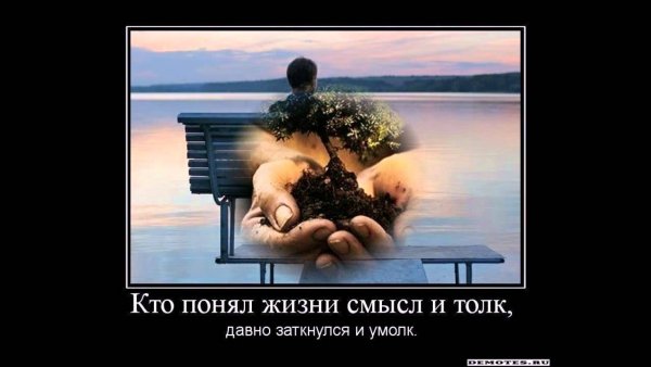 Смысл жизни прикол