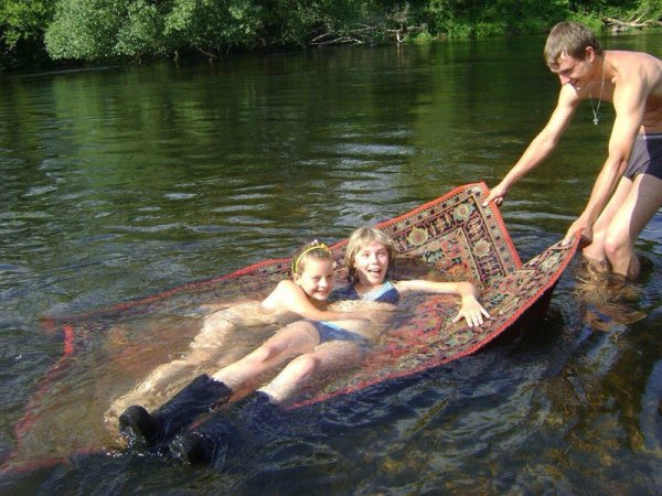 Дачный идиотизм