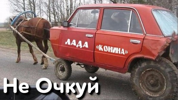 Беззубая лошадь