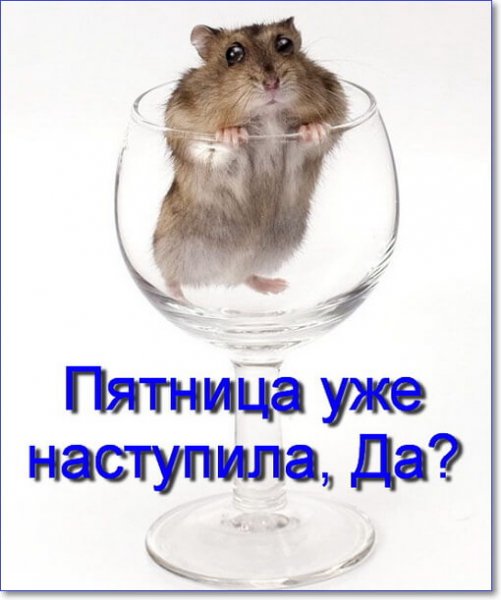 Пятница приколы