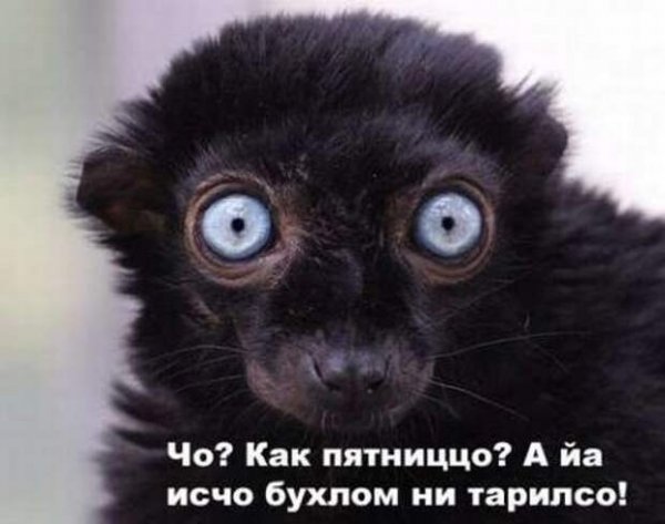 Пятница фото приколы