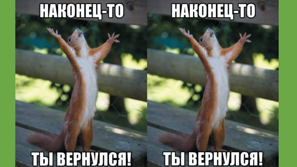 Наконец то ты вернулся