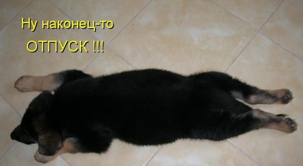 Я В отпуске