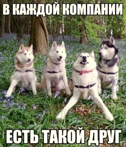 Приколы про друзей