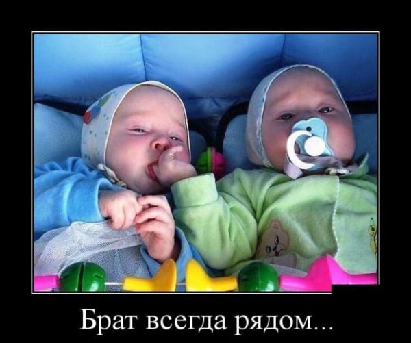Приколы про друзей