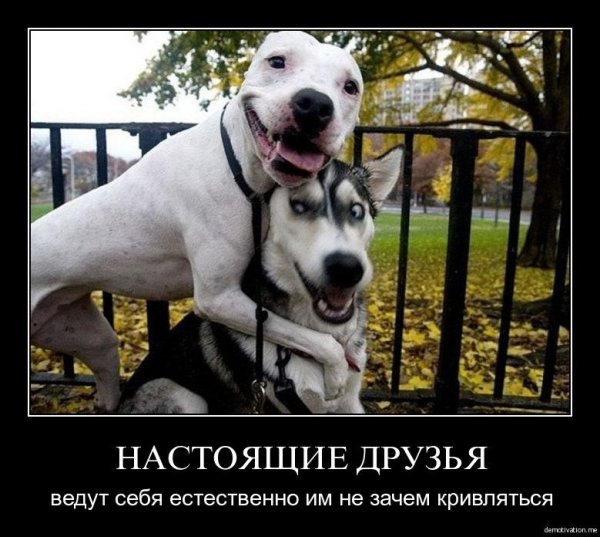 Приколы про друзей