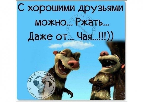 Смешные цитаты про друзей