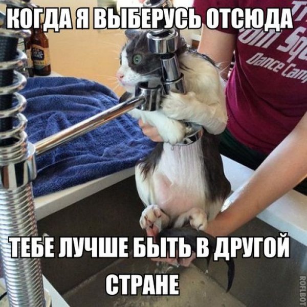 Приколы с надписями