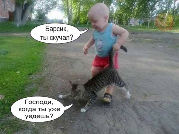 Приколы с подписями картинки