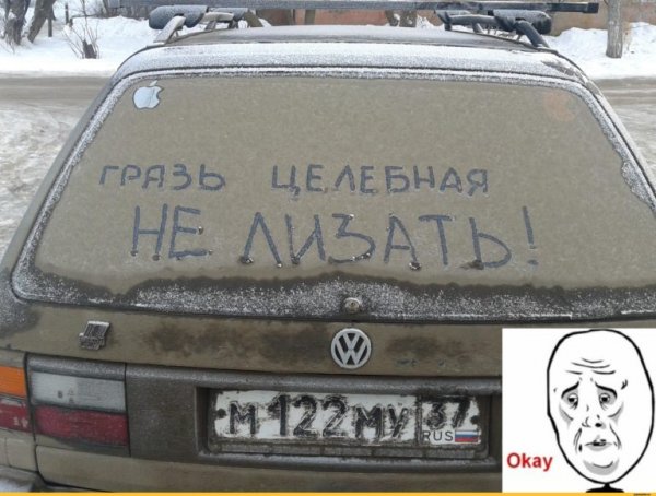 Две собаки смеются