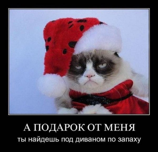 Демотиваторы про новый год