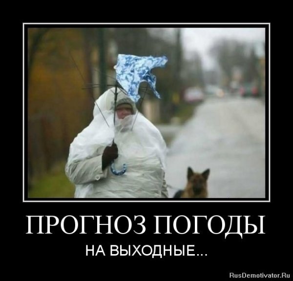 Очень смешные высказывания до слез