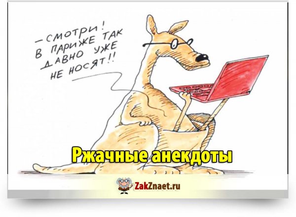 Смешные цитаты