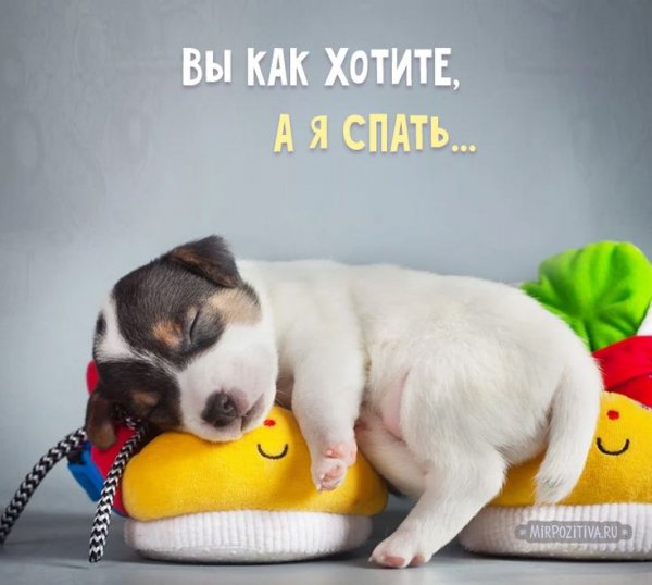 Спать хочется