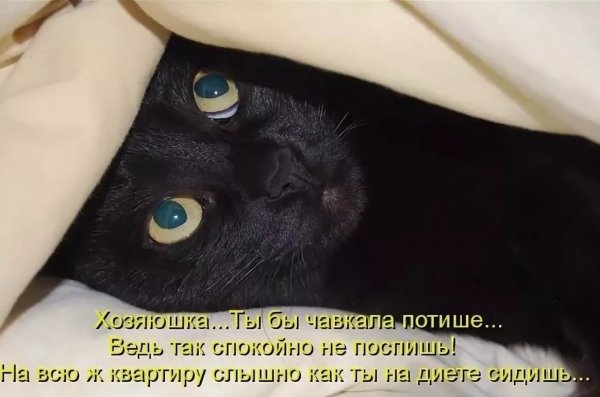 Спрятался под одеялом