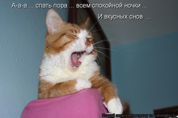 Спать картинки прикольные