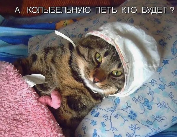 Спокойной ночи картинки прикольные