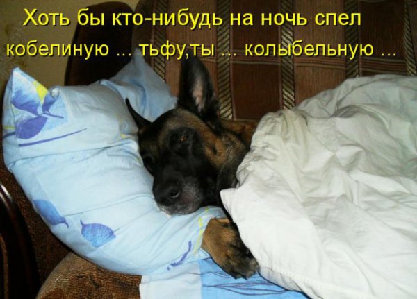 Спать уже пора