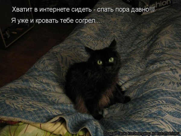 Собака смешно спит
