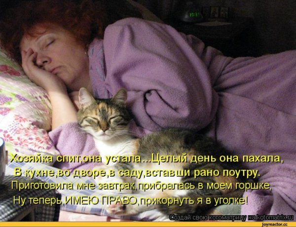 Парень спит с котом