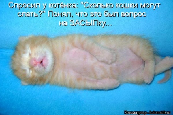 Желаю всем выспаться